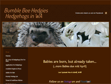 Tablet Screenshot of bumblebeehedgies.com